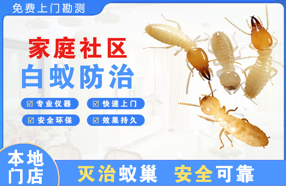 中江家庭社区白蚁防治