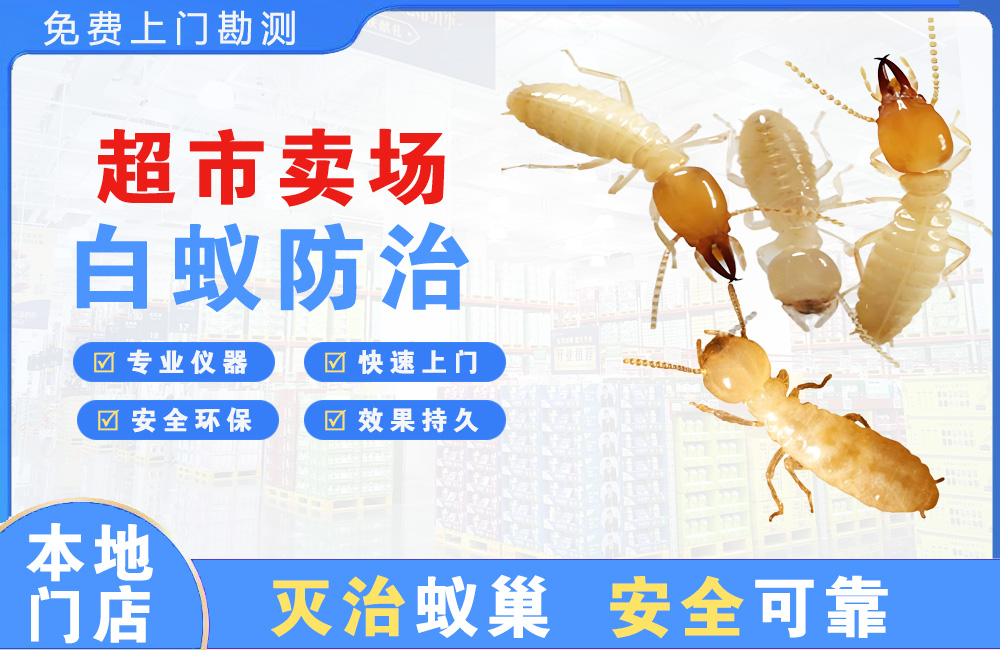 中江超市卖场白蚁防治