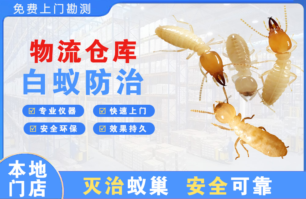 中江物流仓库白蚁防治