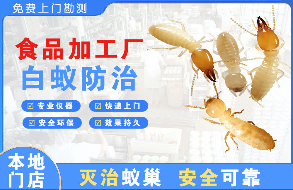 中江食品加工厂白蚁防治
