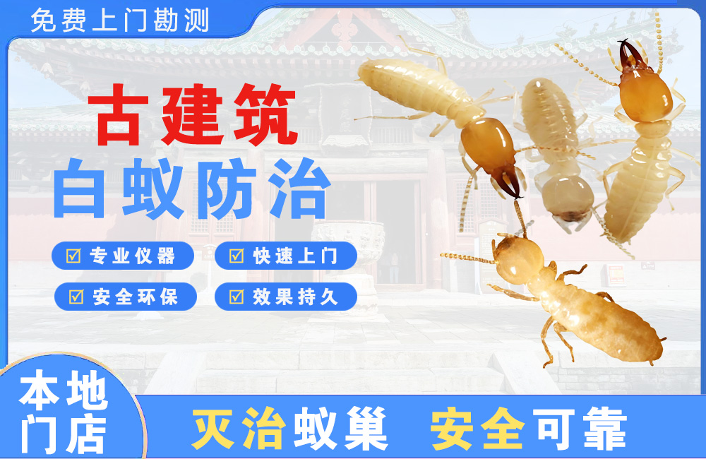 中江古建筑白蚁防治
