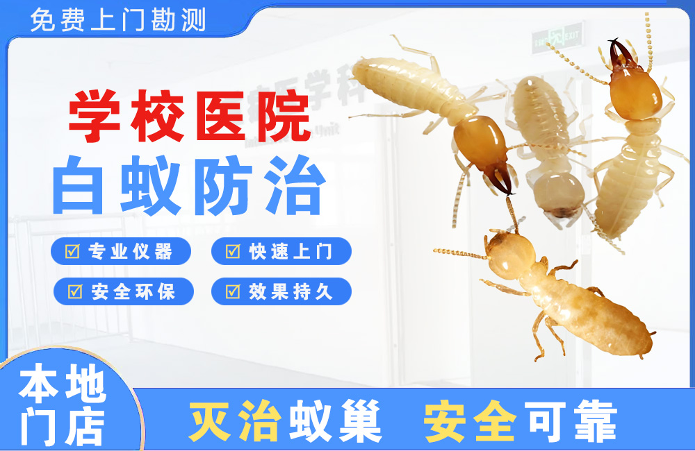 中江学校医院白蚁防治