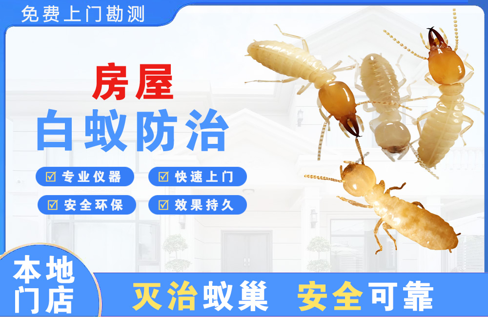 中江房屋白蚁防治