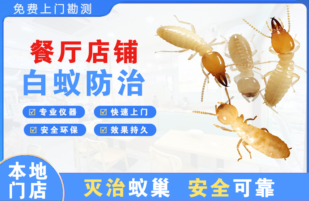 中江餐厅店铺白蚁防治